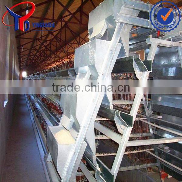 poultry dung removing machinery equipment /layer poultry cages for nigeria/africa