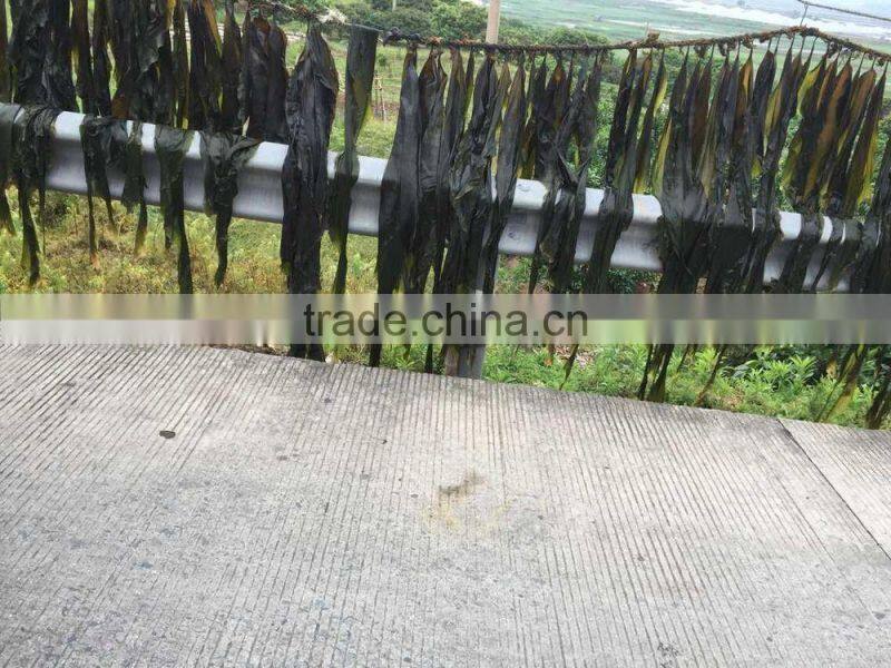 Popular Beauty Product Dried Sea Algae Kelp Whole Plant Sheet