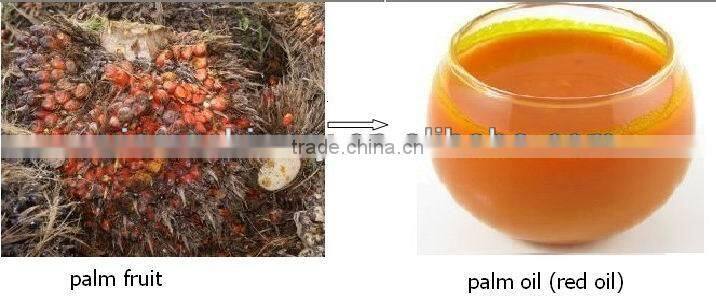 New!! Palm fruit oil press machine with top quality