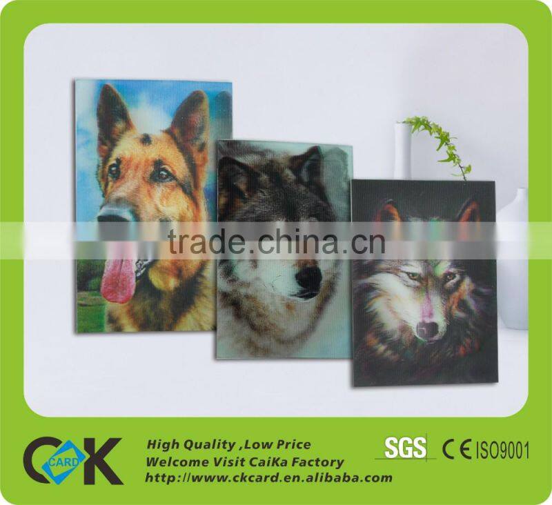 Copetitive Price !Printing irregulare shape big 3d pvc cards
