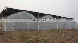 Greenhouse poly film