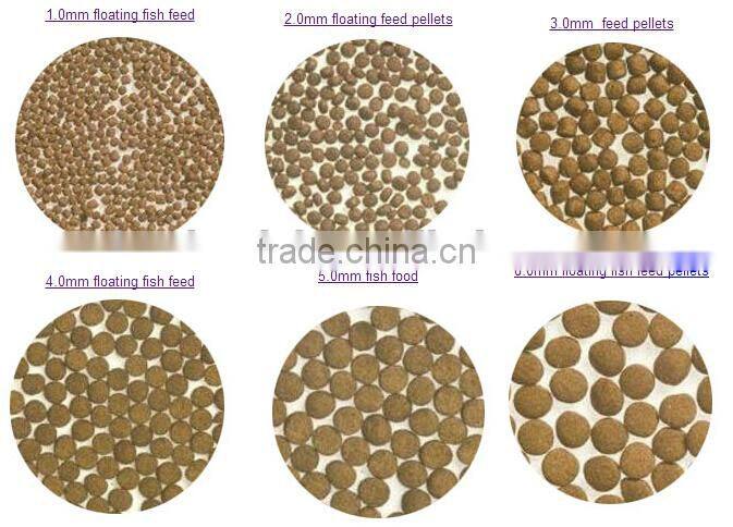 China top quality factory price tropical fish bottom feeders