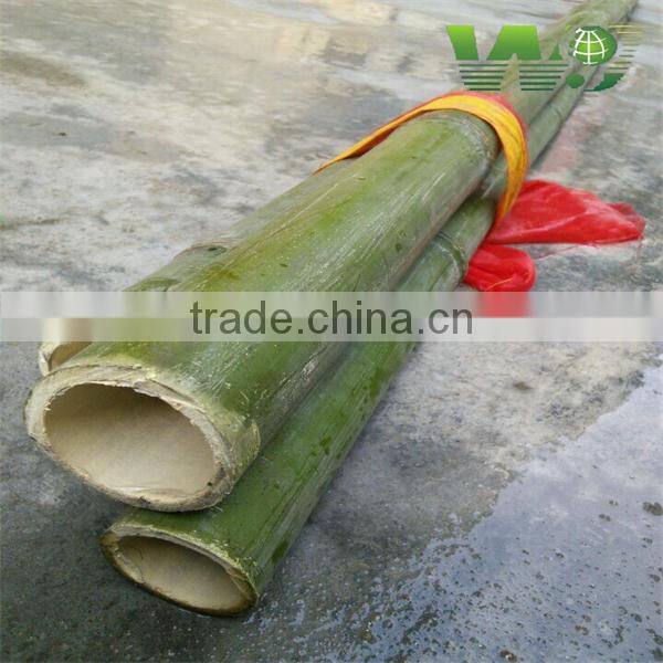 Bamboo Wood Chips For Sale