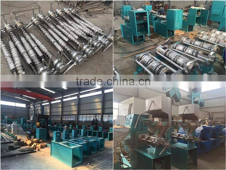 HSM ISO CE Moden Techniques Mini Oil Press Machine