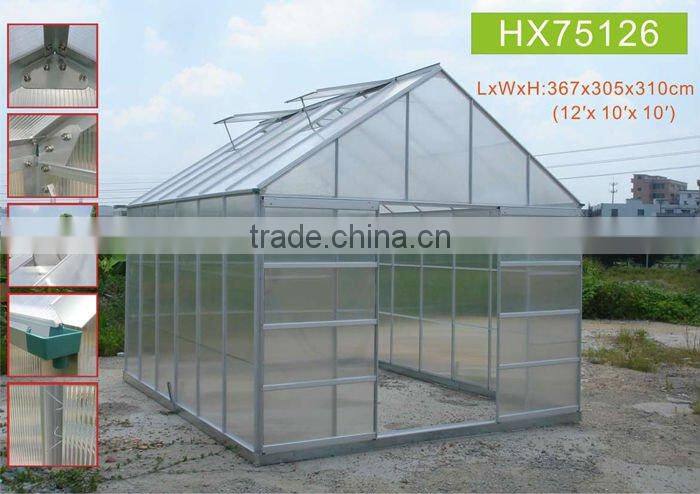 Planting Tomatos in the tomato Greenhouse