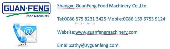 Automatic continuous frying machine