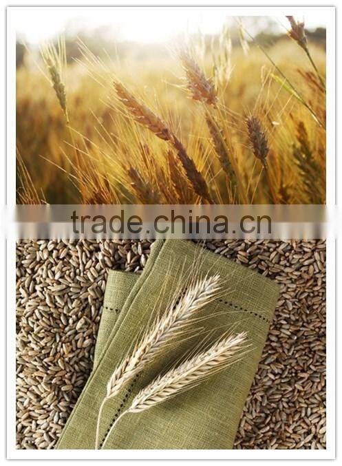 china luohe hualiang hot sale 5-100T per day of wheat flour making machine with good price