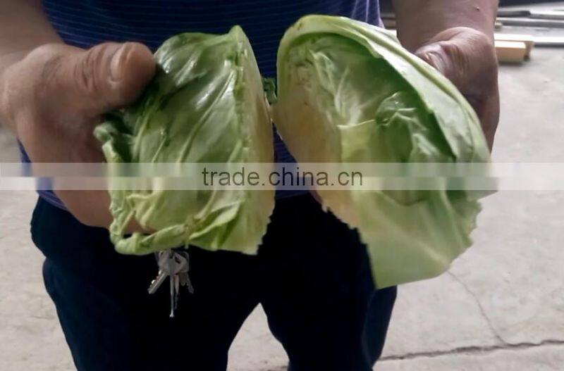 Fruit Vegetable Tomato Half Cutting Machine