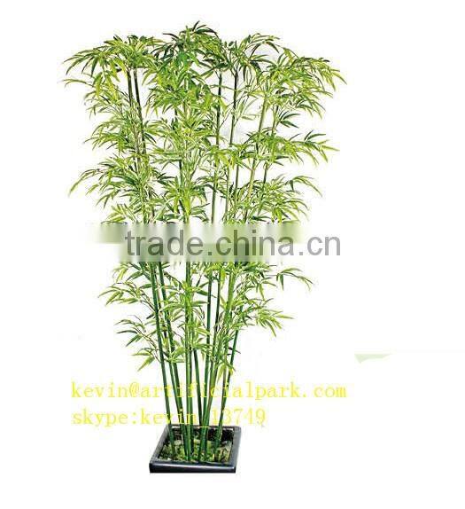 SJ217007 wholesale bamboo plants lucky for sale
