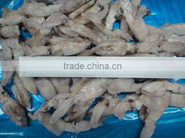 Frozen Baby Squid