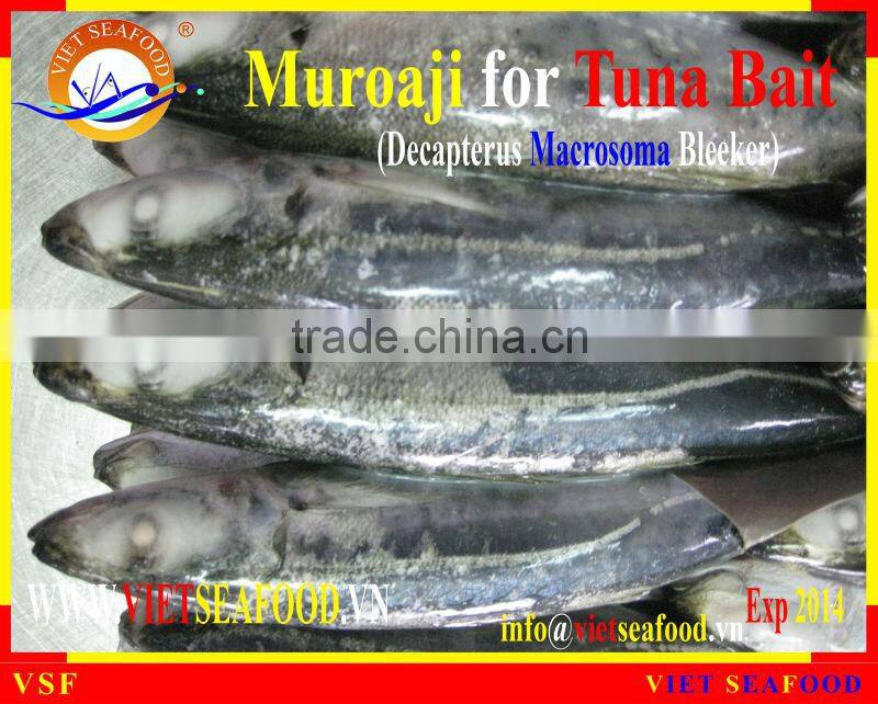 MUROAJI FOR TUNA BAIT FROZEN