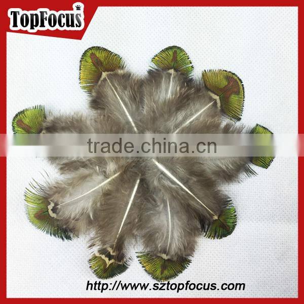 hot sale designer indian cheap natural artificial peacock feathers