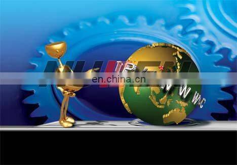 2D to 3D lenticular pictures designing service