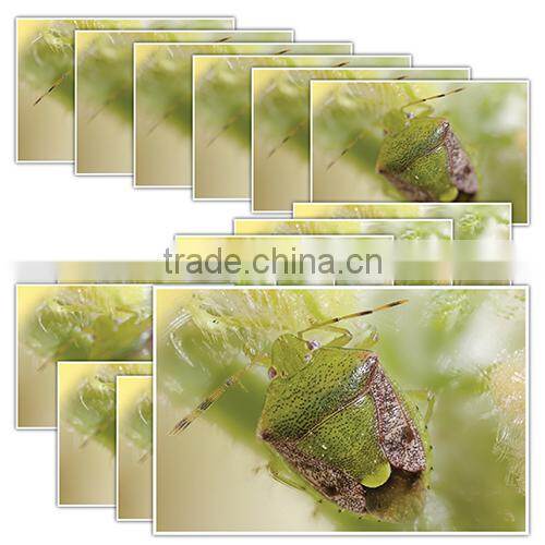 ToupView for ToupCam Camera