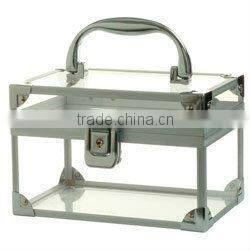 2013 new design acrylic carry case