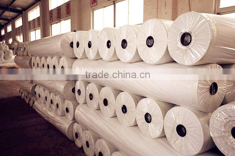 PEVA Printing Film In Roll