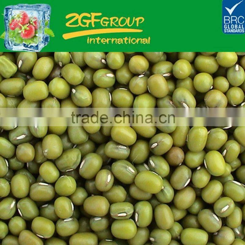 Hot Sale fresh and healthy kidney beans ( small pure kidney bean)