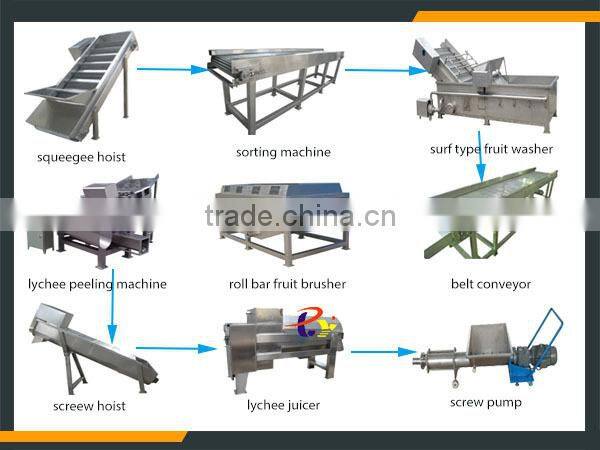 Leader high quality fruit juice refiner for litchi
