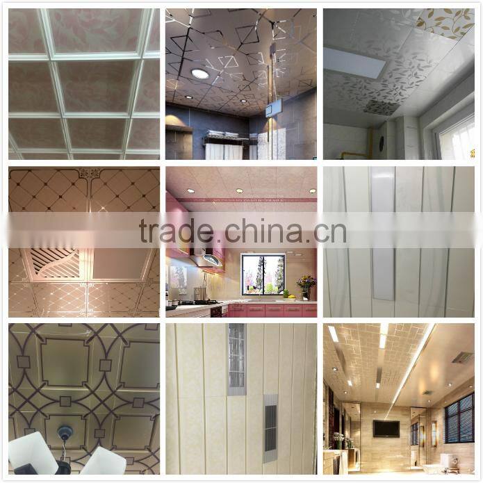 transparent Matt pet film