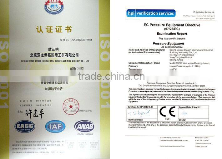 Bidragon low price gas fired steam boiler