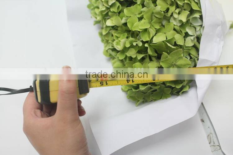Fresh crazy selling fresh hydrangea export from china