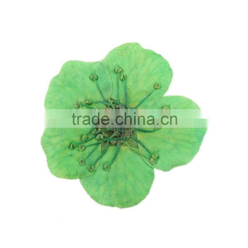 Stickers & Decals Cheap 3D Dry Flower, Mix 12 Color Decorations Real Dried Dry Flower for Nail Art Decorations ZX:GH741