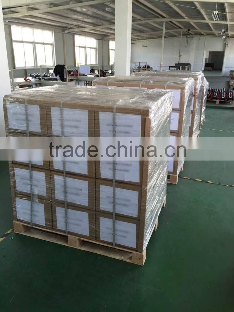 220V electric hoist