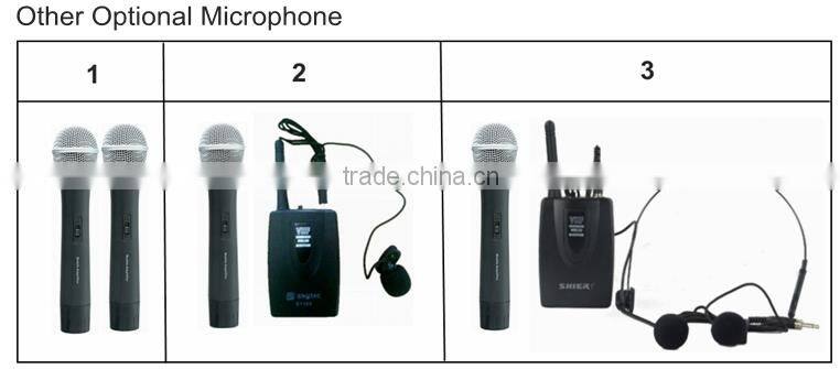 6.5/10/12/15inch Professional Bluetooth Speaker Ibastek Speaker