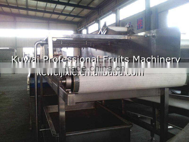 5 ton YXJ-5 Model high pressure spraying cleaner(Industrial fruits washer)