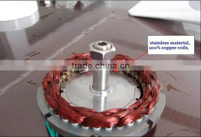 much discount 100watt 12/24v AC generator made in china