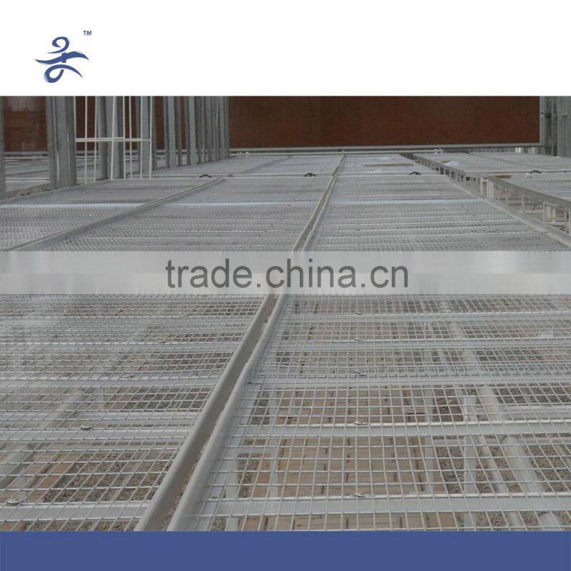 Agriculture Seed Bed for Vegetable Greenhouse
