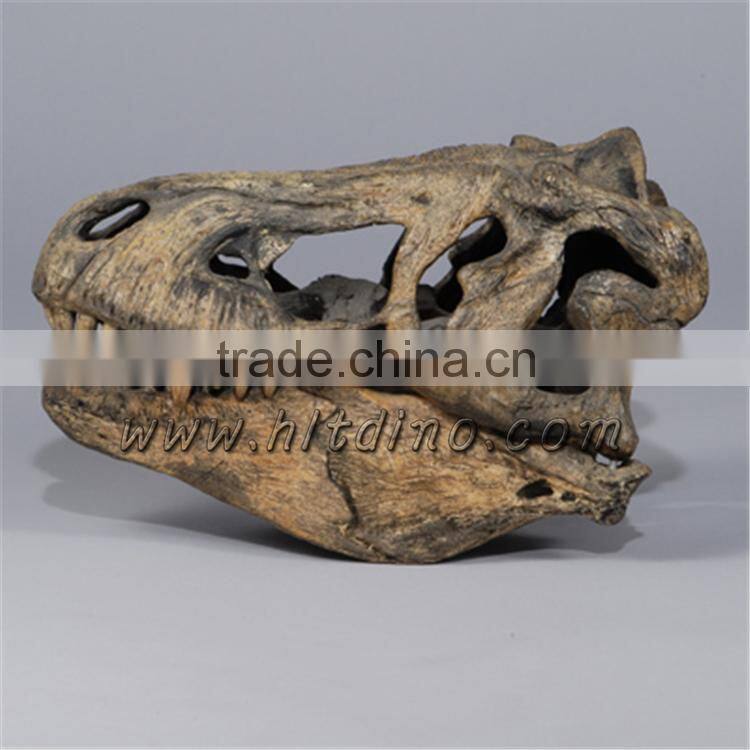 HLT dinosaur theme park dinosaur replica dinosaur skull sale