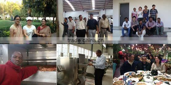 High Automatic Salty Peanut Inshell Production Line Snack Salting Machine