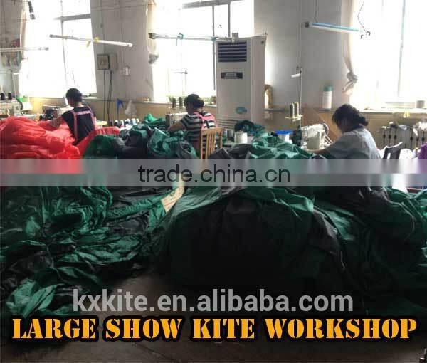 Durable Ripstop Nylon large Inflatable kite