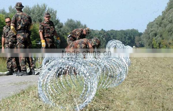 2020 best selling ! electro galvanized hot-dipped galvanized barbed wire fence