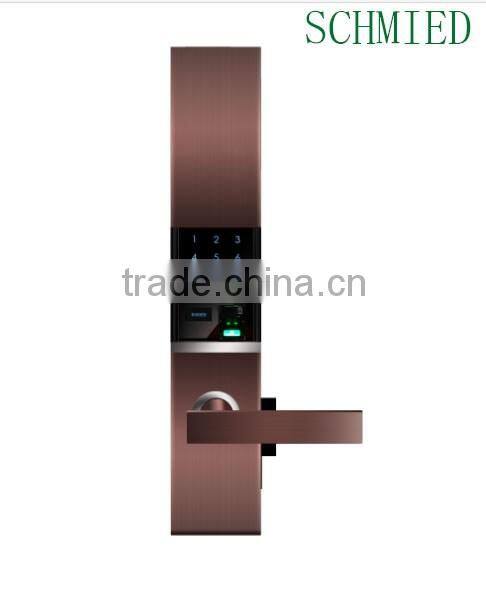 Fingerprint password mechanical keys modern lock and gold finished password protection