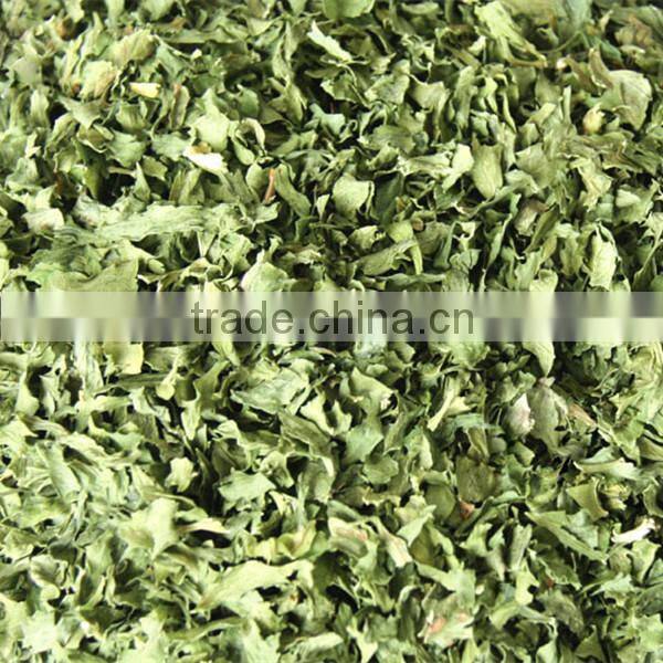 2016 New Crop Dehydrated Parsley Leaf