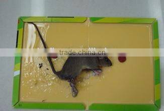 Best Selling Quality Factory Direct Supply Mouse Glue Trap