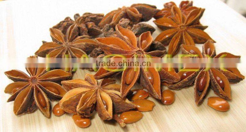 High quality Vietnam star aniseeds without stems / anise - Cheap price!