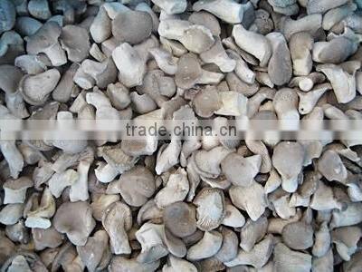 Highquality frozen IQF champignon