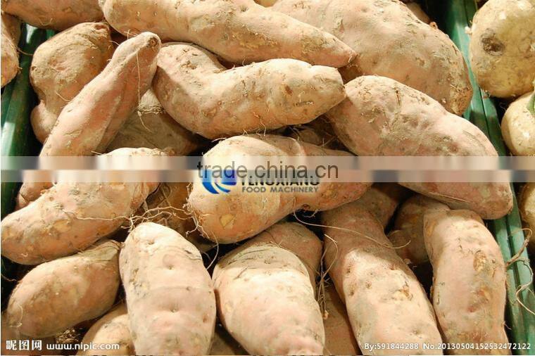 GL-380 commercial turnip potato carrot washing machine