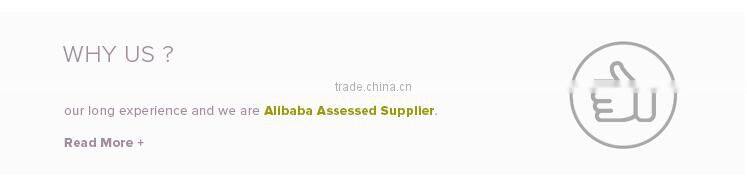 2016 Stainless Steel Shell for Manual Orange Juice Extractor