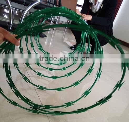 Painting Concertina wire razor barbed wire mesh