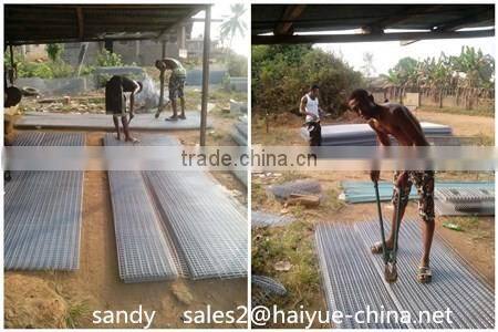 Africa Automatic Drinker Poultry Battery Cage With 96 120 160 Capacity