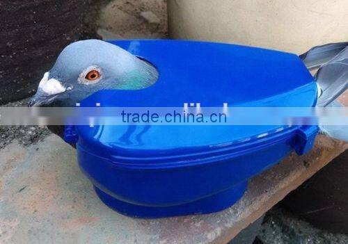 Pigeon fixer/pigeon holder