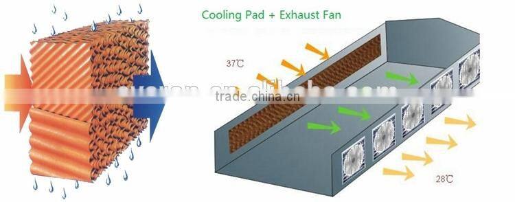 Honey Comb Cooling Pad for Poultry &Greenhouse