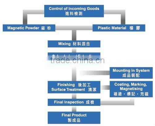Permanent Oval shaped Rare Earth Magnets