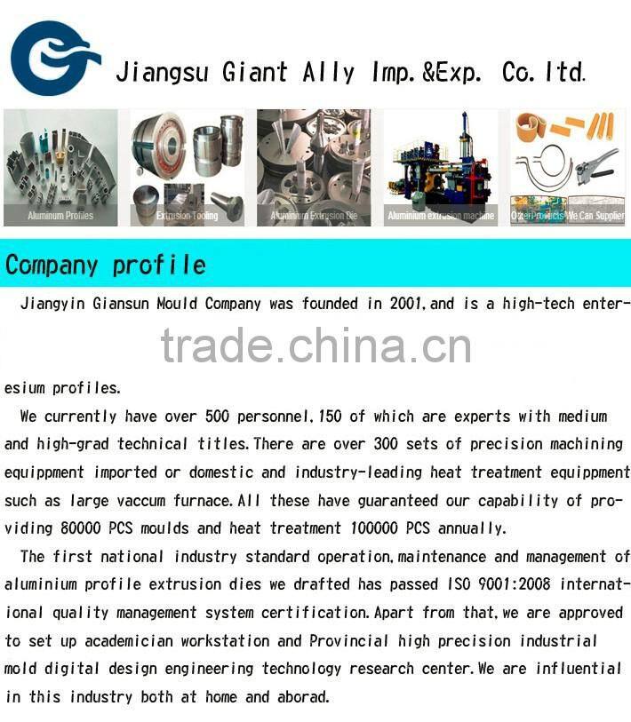 Multi cavity/aluminum extrusion mould/professional mould designer$manufacturer