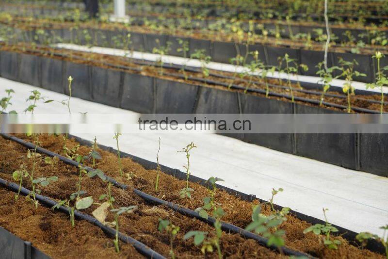 Grow rough for tomato / Vegtable