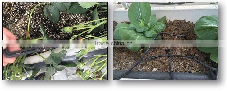 Manufacturer Sale Greenhouse Equipment in China